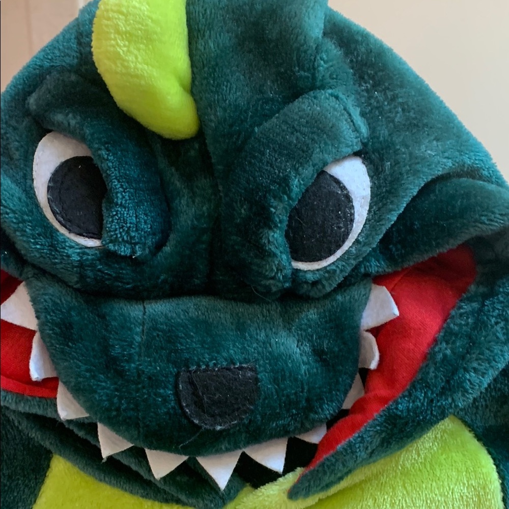 Green Dinosaur PJ Costume size 120. (6/7)